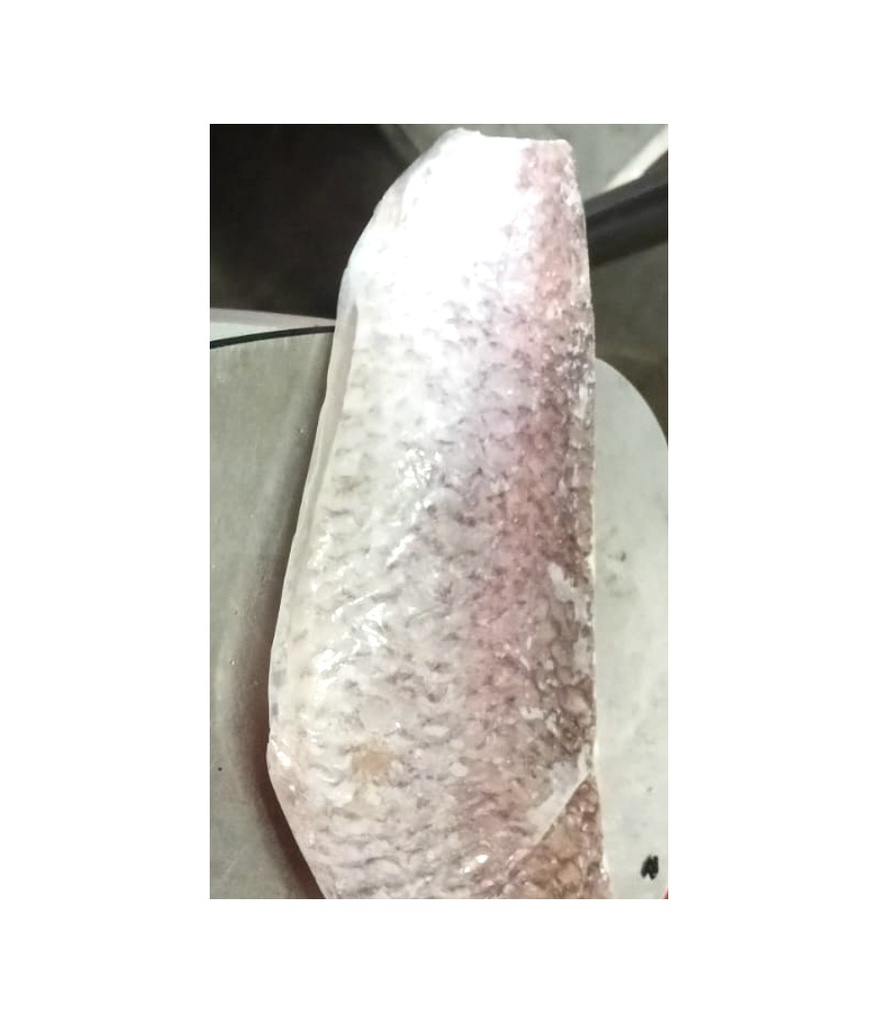 Fillet Kakap Anggoli Skin On
