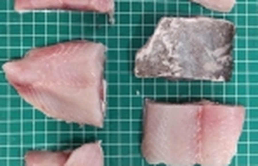 Tenggiri Portion