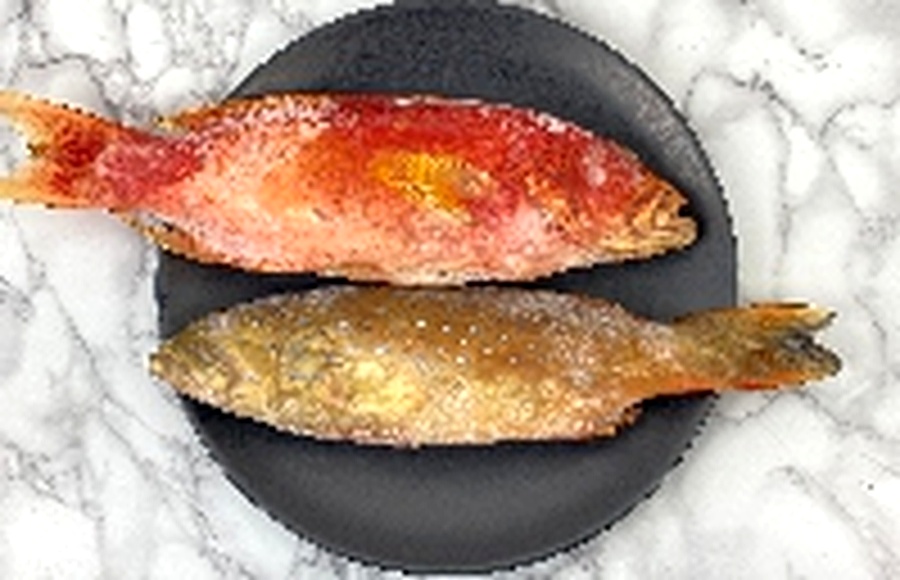 Kerapu Utuh