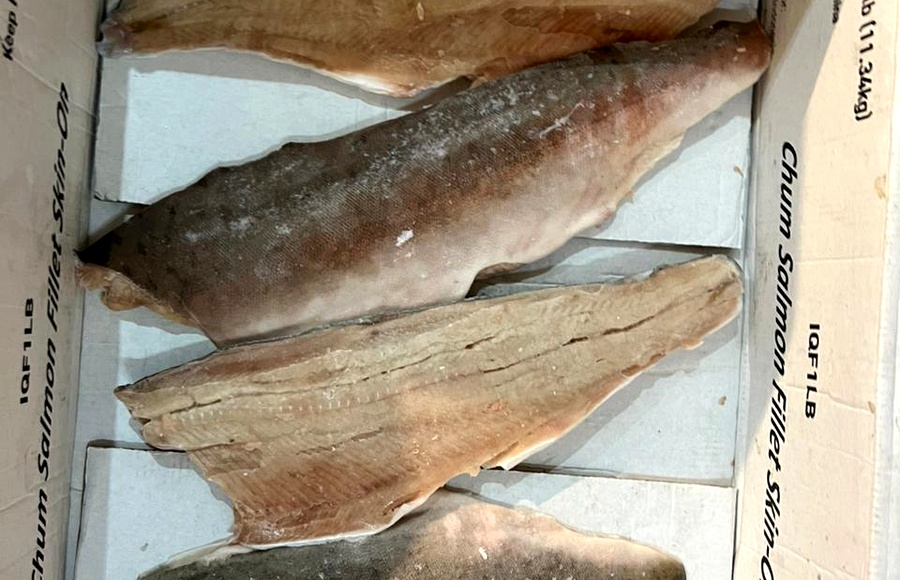 Kepala Salmon