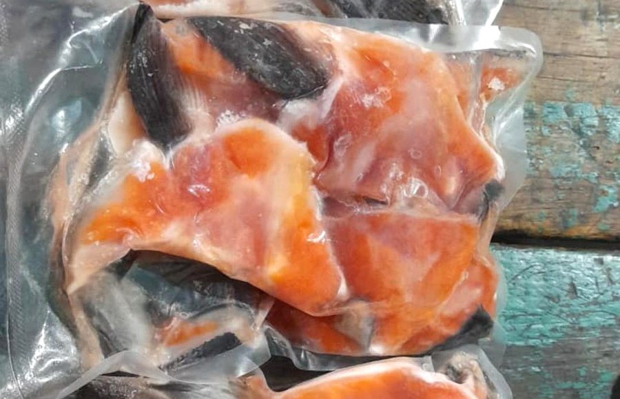 Kama / Leher Salmon